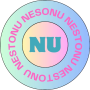 us.nestonu.com